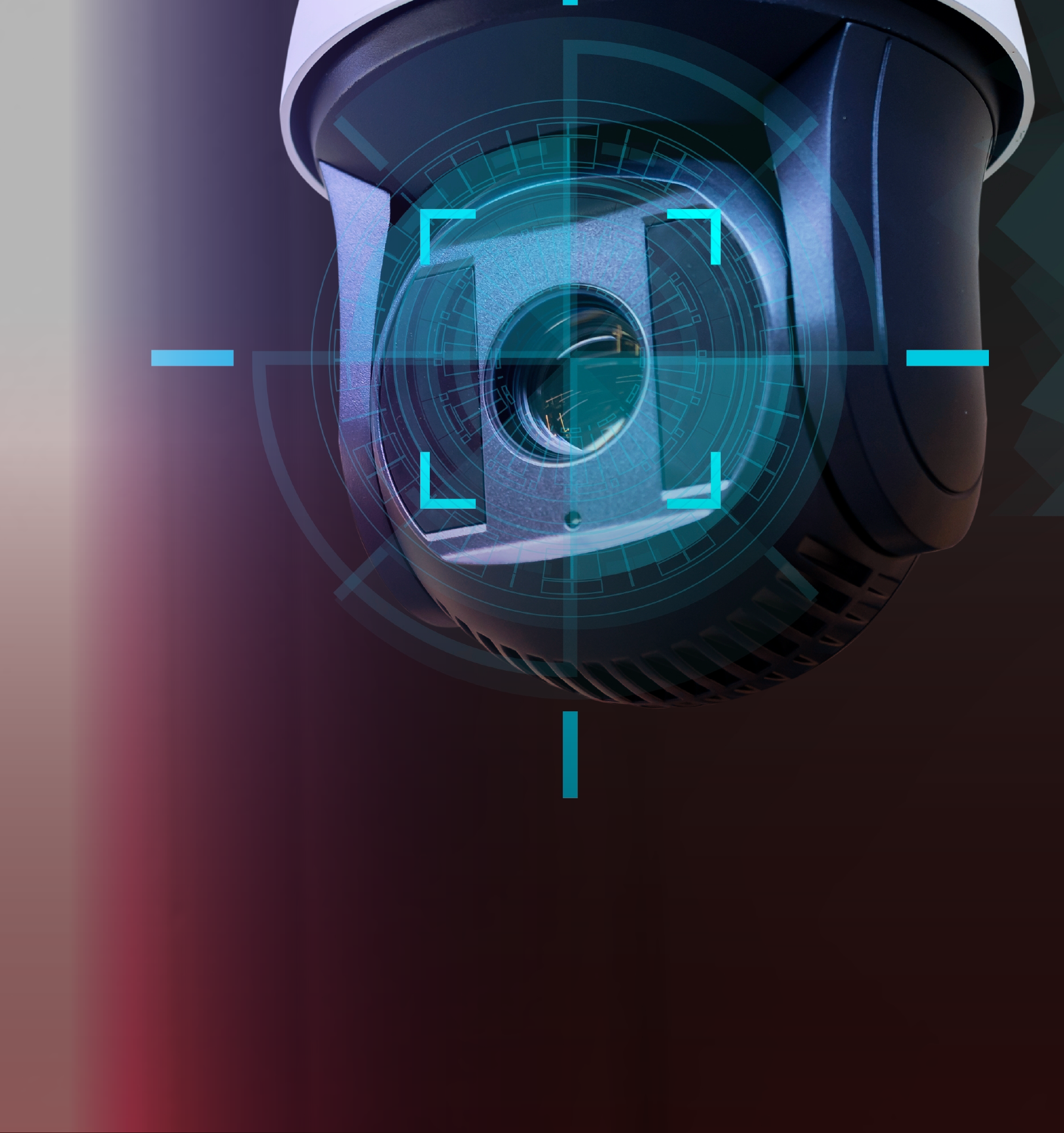 Videovigilancia inteligente